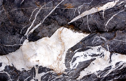 Bedeutung, Sinn, Intention gibt es nur für lebendige Wesen (unter